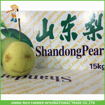 Top Quality Chinese Fresh Shandong Pear